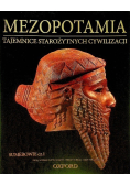 Mezopotamia tajemnice starożytnych cywilizacji Asyria Część 1