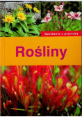 Spotkania z przyrodą Rośliny