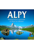 Alpy