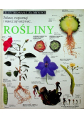 Rośliny Ilustrowany słownik