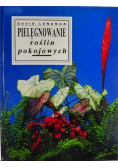 Pielęgnowanie roślin pokojowych