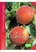 Brzoskwinie i nektaryny