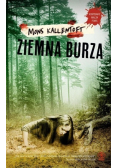Ziemna burza