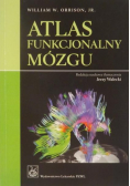 Atlas funkcjonalny mózgu
