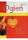 Ogień