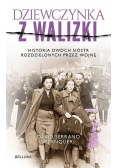 Dziewczynka z walizki