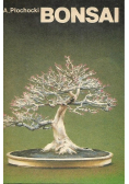 Bonsai