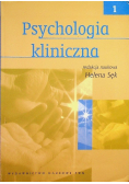Psychologia kliniczna Tom 2