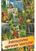 Intensywna uprawa warzyw