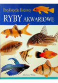 Ściąga z języka polskiego