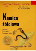 Kamica żółciowa