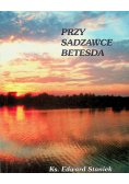 Przy sadzawce Betesda