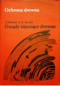 Owady niszczące drewno