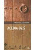 Acedia dziś