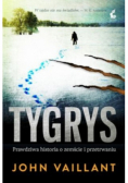 Tygrys