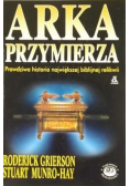 Arka przymierza