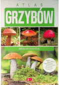 Atlas grzybów