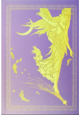 The Lilac Fairy Book