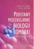 Rak sromu