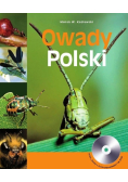 Owady Polski