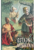 Ostatni Mohikanin
