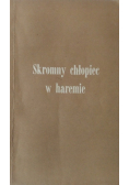 Skromny chłopiec w haremie