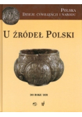 U źródeł Polski do roku 1038