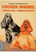 Cocker spaniel amerykański i angielski