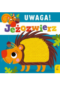 Uwaga jeżozwierz!