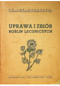 Uprawa i zbiór roślin leczniczych