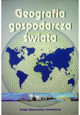 Geografia gospodarcza świata