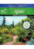 Iglaki. Dobór i pielęgnacja