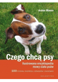 Czego chcą psy