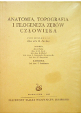 Anatomia topografia i filogeneza zębów człowieka