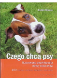Czego chcą psy