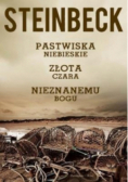 Pastwiska niebieskie Złota czara Nieznanemu bogu