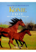 Konie i kuce