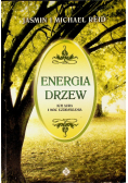 Energia drzew ich aura i moc uzdrawiania