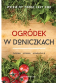 Ogródek w doniczkach