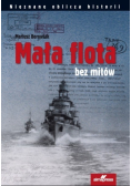Mała flota bez mitów