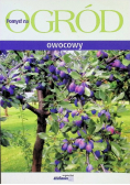 Pomysł na ogród owocowy
