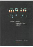 Czerpiąc z korzenia szlachetnej oliwki