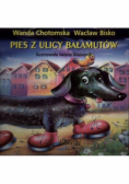 Pies z ulicy bałamutów