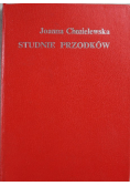 Studnie przodków