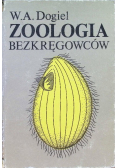 Zoologia bezkręgowców