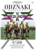 Wielka Księga Kawalerii Polskiej 1918-1939 Odznaki Kawalerii Tom 9