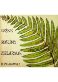 Leśne rośliny zielarskie