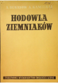 Hodowla ziemniaków