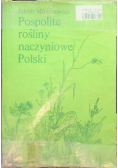 Pospolite rośliny naczyniowe Polski