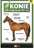 Konie jak rozpoznać 50 ras